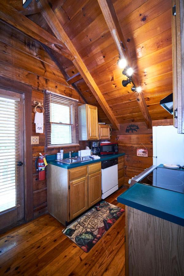 Gatlinburg Area Hottub Cabin - Ladyslipper Sevierville Exteriör bild