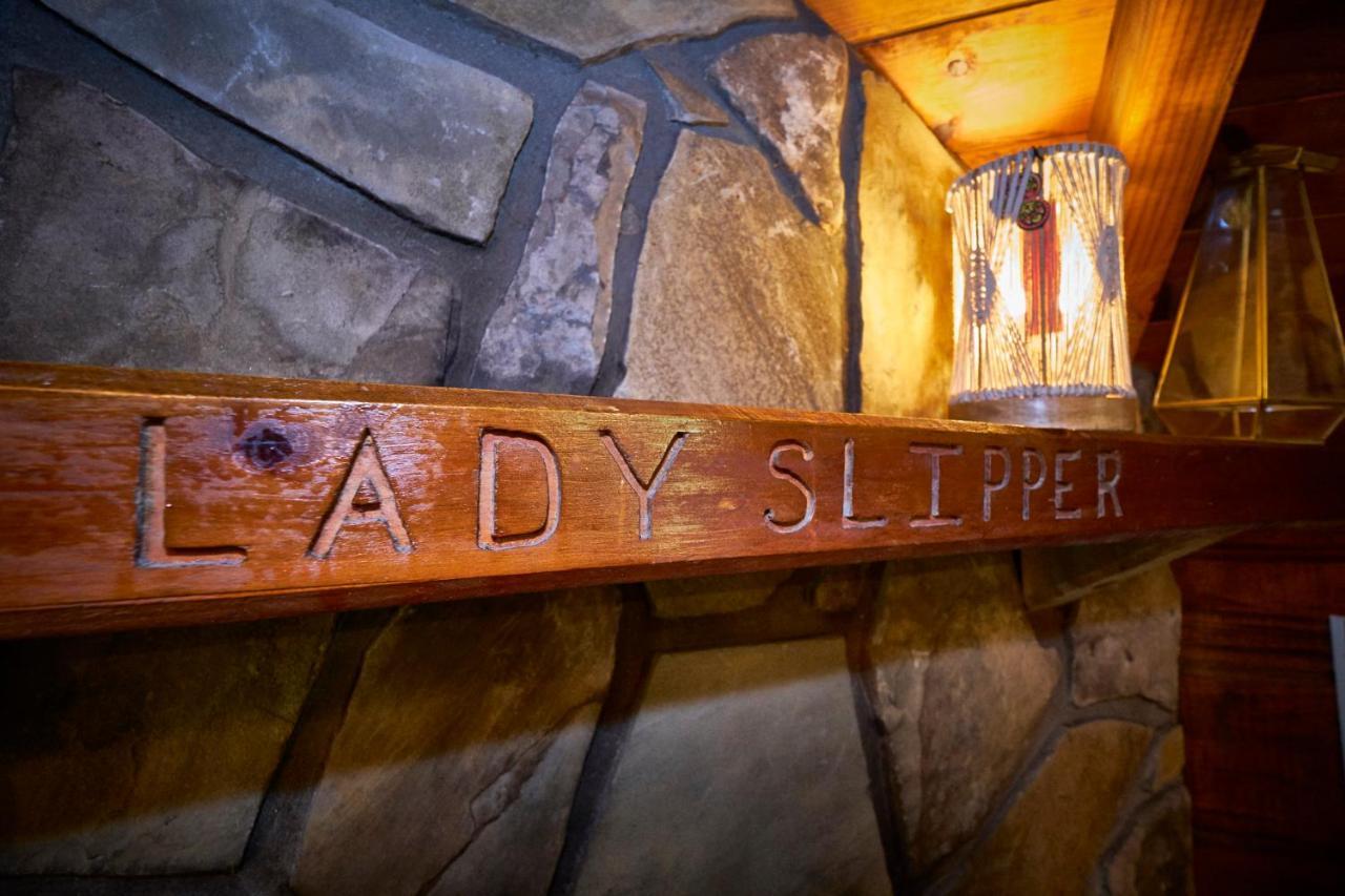 Gatlinburg Area Hottub Cabin - Ladyslipper Sevierville Exteriör bild